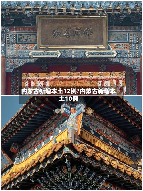 内蒙古新增本土12例/内蒙古新增本土10例