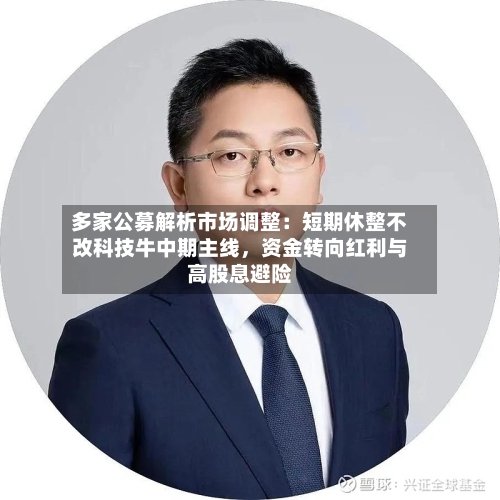 多家公募解析市场调整：短期休整不改科技牛中期主线，资金转向红利与高股息避险-第2张图片