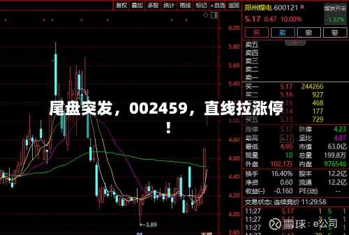 尾盘突发	，002459，直线拉涨停！-第2张图片