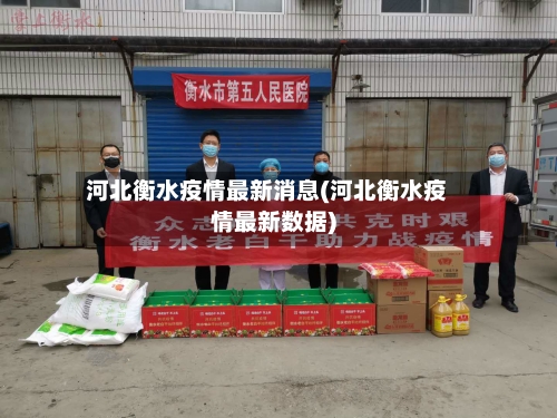 河北衡水疫情最新消息(河北衡水疫情最新数据)-第2张图片