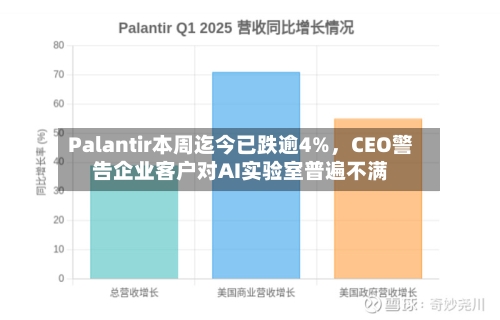 Palantir本周迄今已跌逾4%	，CEO警告企业客户对AI实验室普遍不满-第2张图片