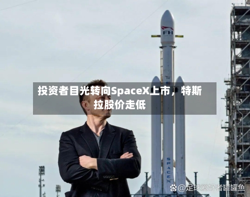 投资者目光转向SpaceX上市	，特斯拉股价走低-第2张图片