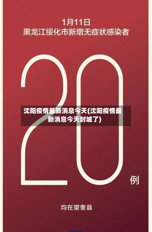 沈阳疫情最新消息今天(沈阳疫情最新消息今天封城了)-第3张图片