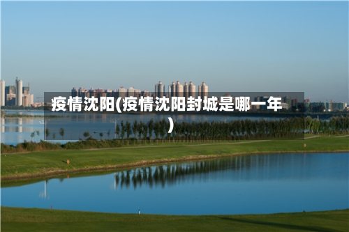 疫情沈阳(疫情沈阳封城是哪一年)-第2张图片