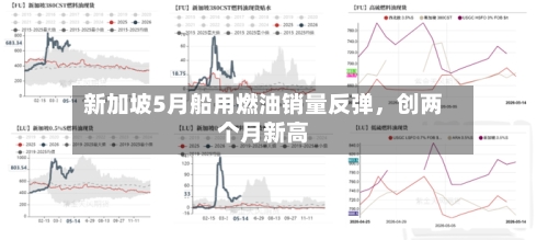 新加坡5月船用燃油销量反弹，创两个月新高