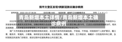 青岛新增本土详情/青岛新增本土确诊病例-第3张图片