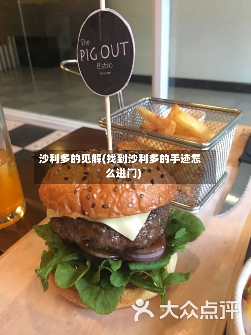 沙利多的见解(找到沙利多的手迹怎么进门)