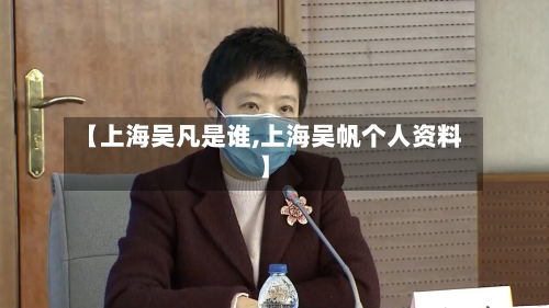 【上海吴凡是谁,上海吴帆个人资料】-第2张图片