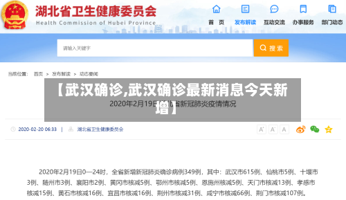 【武汉确诊,武汉确诊最新消息今天新增】