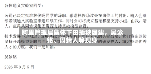阿里管理层集体下田插秧团建，吴泳铭	、周靖人等现身-第3张图片