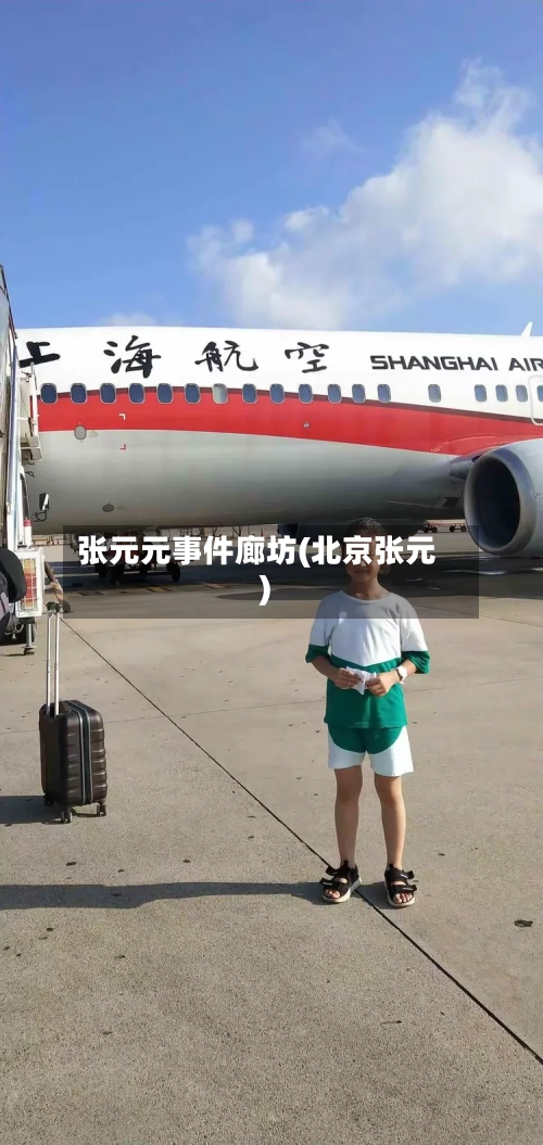 张元元事件廊坊(北京张元)