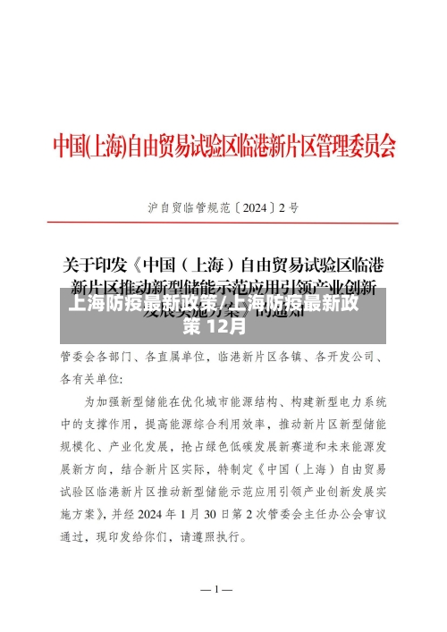 上海防疫最新政策/上海防疫最新政策 12月-第2张图片