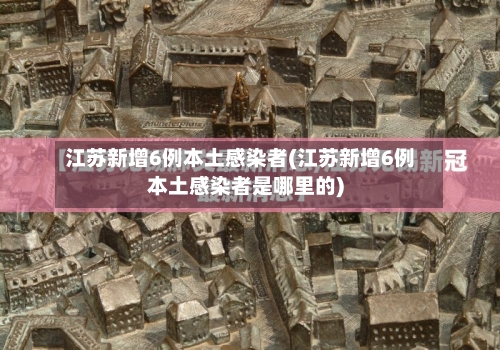 江苏新增6例本土感染者(江苏新增6例本土感染者是哪里的)-第3张图片