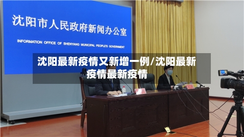 沈阳最新疫情又新增一例/沈阳最新疫情最新疫情-第3张图片